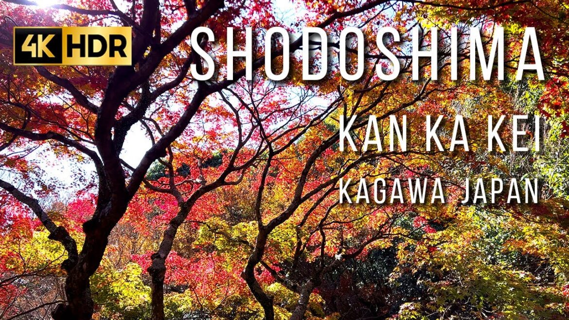 【4K HDR】小豆島 寒霞渓 Shodoshima Kankakei Kagawa Japan | Beautiful autumn leaves with Relaxing Piano Music 【4K HDR】小豆島 寒霞渓 Shodoshima Kankakei Kagawa Japan | Beautiful autumn leaves with Relaxing Piano Music