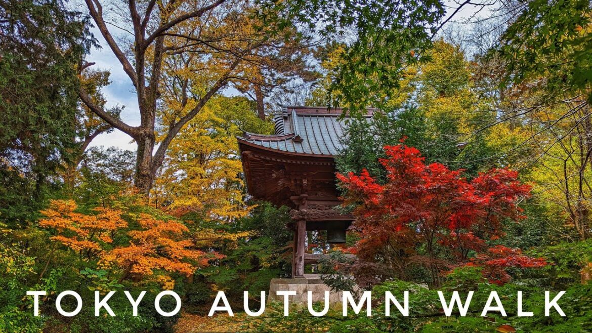 Tokyo Autumn Walk 🍂 Todoroki Ravine & Beautiful Jōshinji Temple