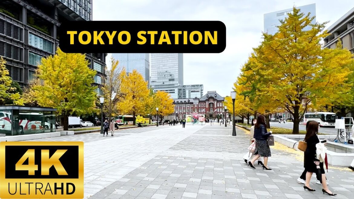 TOKYO, JAPAN 🇯🇵 [4K] Tokyo Station Gyoko-dori  — Walking Tour — NOVEMBER 2022