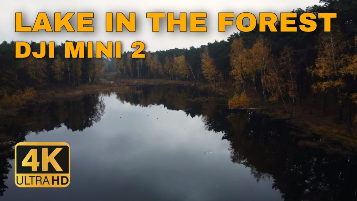 LAKE IN THE FOREST BIALOBRZEGI POLAND | 4K DJI MINI 2 LAKE IN THE FOREST BIALOBRZEGI POLAND | 4K DJI MINI 2