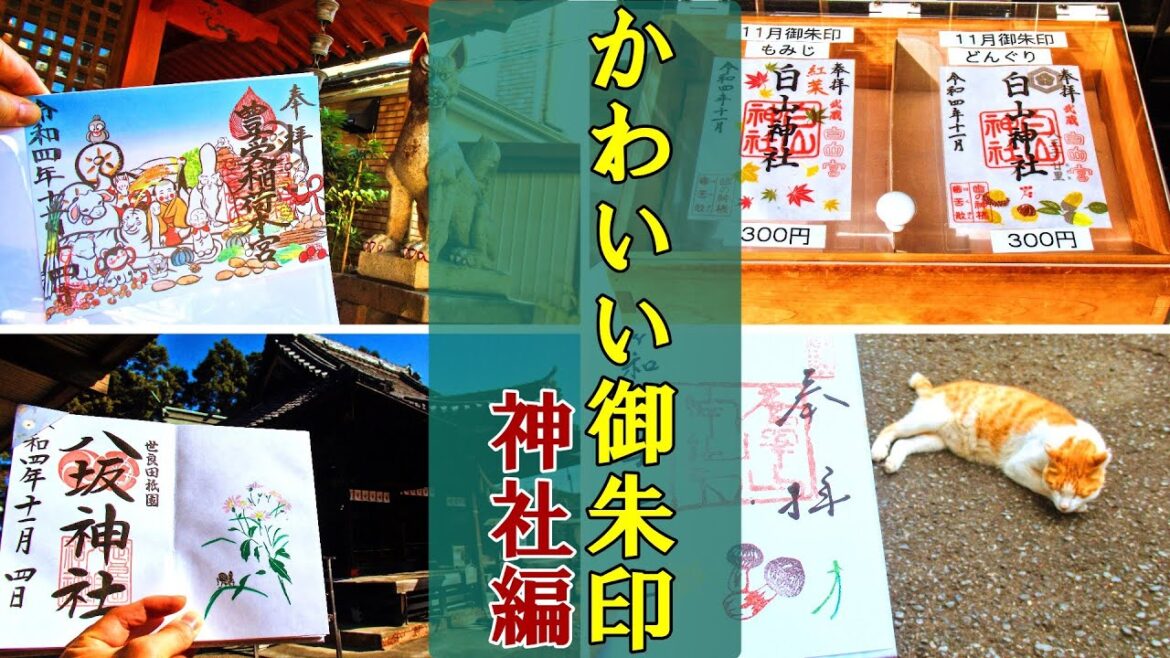 【御朱印ベスト】かわいい御朱印(神社編)[日本の神社仏閣巡り旅]