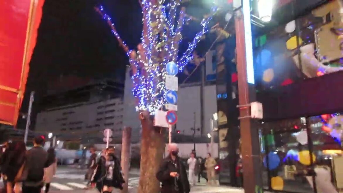 Japan video integrale 001