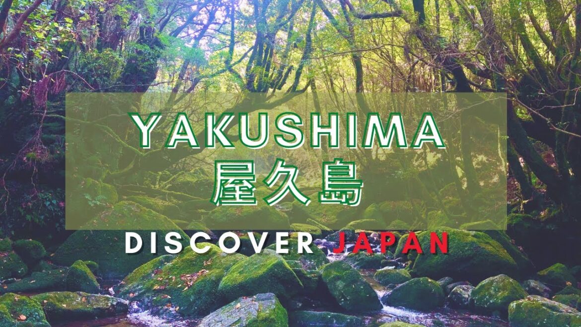 Discover Japan - Yakushima 屋久島 [4K]