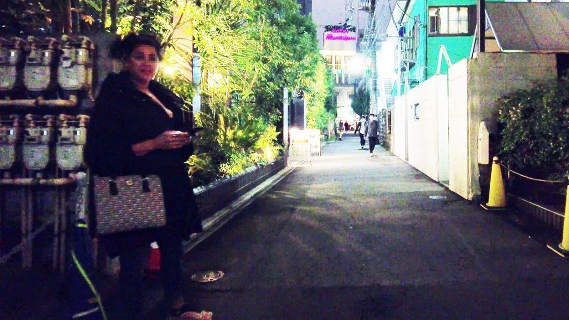 [4K] Tokyo Nightlife, KABUKICHO Night Walk, Shinjuku, Japan, 2022,歌舞伎町