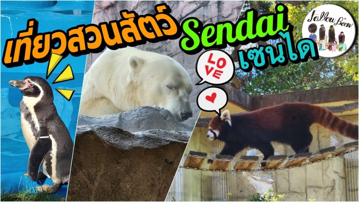 สวนสัตว์ แห่งเมือง Sendai พาลูกเที่ยว Yagiyama Zoological Park Japan Trip EP7 สวนสัตว์ แห่งเมือง Sendai พาลูกเที่ยว Yagiyama Zoological Park Japan Trip EP7