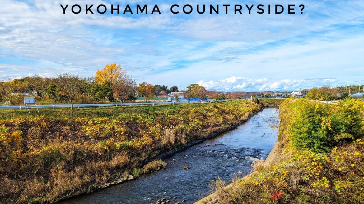 Autumn Japan Walk – Jikecho – Yokohama Countryside π An Old Favourite Revisited Autumn Japan Walk - Jikecho - Yokohama Countryside π An Old Favourite Revisited