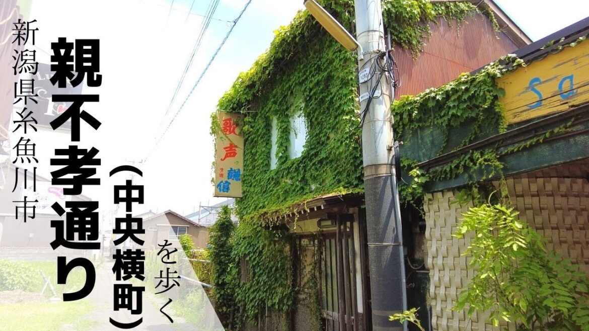 【レトロ飲み屋街】親不孝通り(中央横町) を散策する[Stroll along Oyafuko-dori (Chuo-yokocho)]