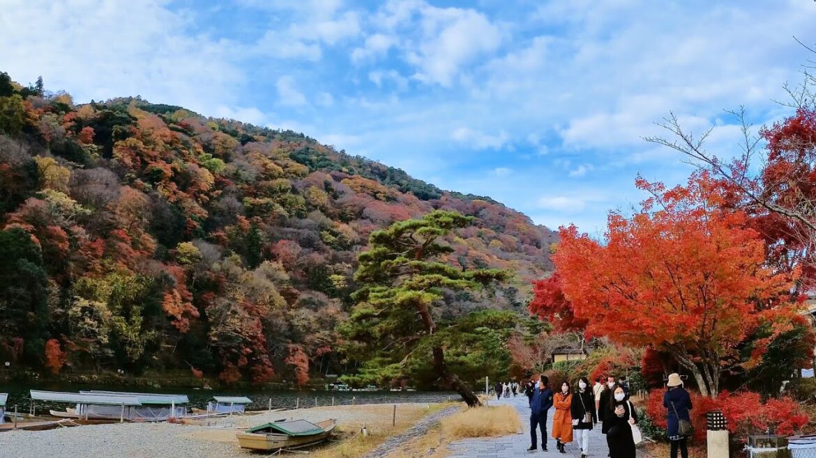 [京都お散歩] 2022年11月26日 土曜日　秋の京都 『嵐山』朝 8:30からの おさんぽ 最高の景色 kyoto. 교토 산책.