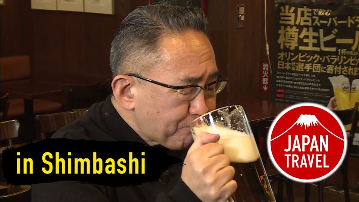 Japan Travel Shimbash -BIRREISE''98-
