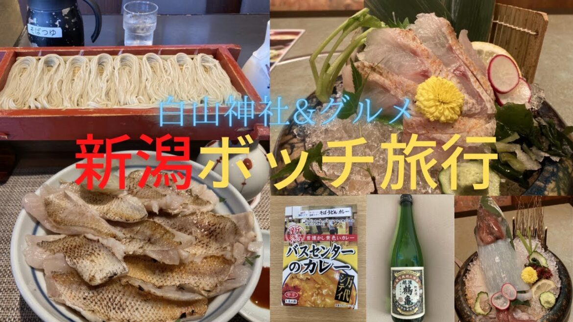 新潟ボッチ旅　ノドグロ丼が人生で1番美味かった！