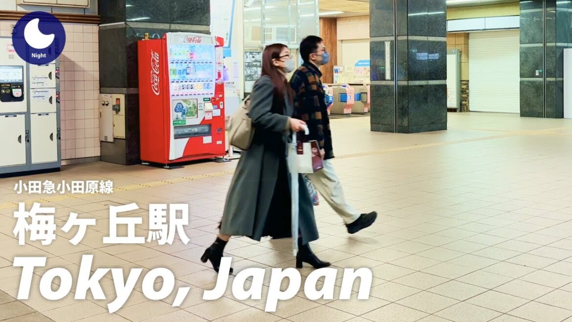 ⁴ᴷ Japan: Umegaoka Station / Odakyu Odawara Line : Tokyo Walking Tour (November, 2022) ⁴ᴷ Japan: Umegaoka Station / Odakyu Odawara Line : Tokyo Walking Tour (November, 2022)