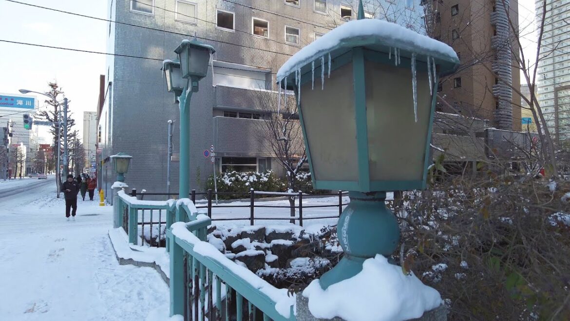 【4K】2022 日本 北海道 札幌 中央区 豊水すすきの 付近 冬 散策【Binaural Audio】 【4K】2022 日本 北海道 札幌 中央区 豊水すすきの 付近 冬 散策【Binaural Audio】