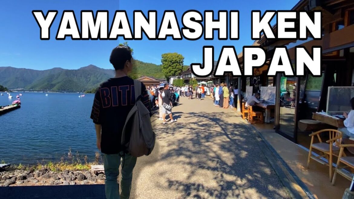 JAPAN VLOG# NYARI ANGGUR TERBAIK DI JEPANG