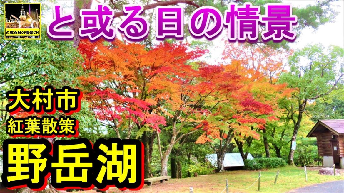 と或る日の情景【紅葉絶景】野岳湖  『紅葉散策』 【長崎県】大村市