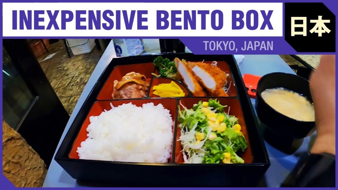 INEXPENSIVE BENTO BOX - Travel to Tokyo (2022)