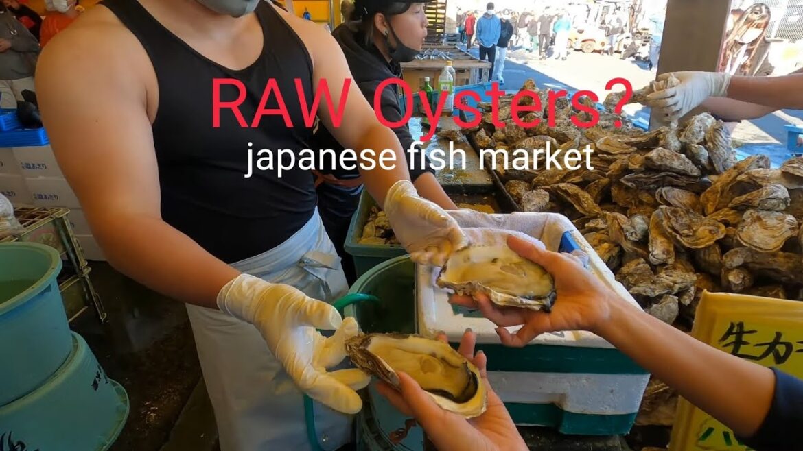 [4K] Raw Oysters, complete octopus takoyaki 🐙 Japanese Fish market,  delicious or disgusting?