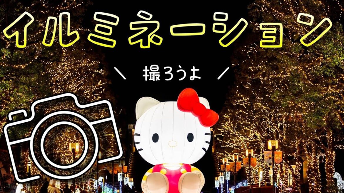 イルミネーションの撮り方&設定【写真撮影】生き物たちが奏でる光の世界