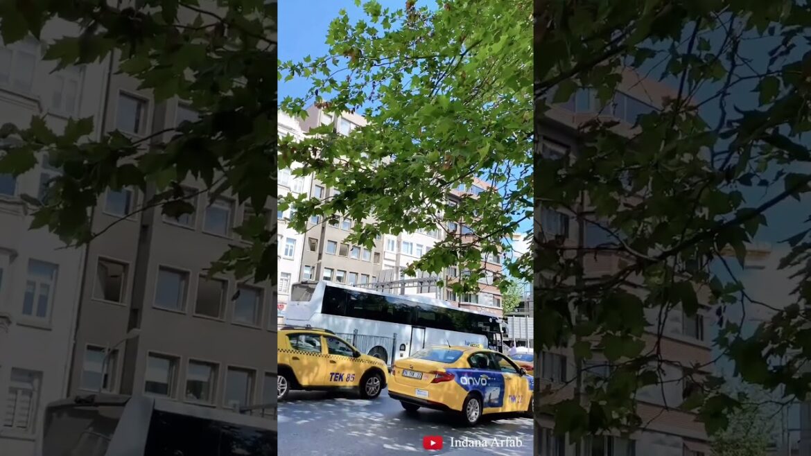 ISTANBUL Turkey #istanbul #istanbulturkey #turkeyvlog #turkey #cappadocia #shorts #travelvlog ISTANBUL Turkey #istanbul #istanbulturkey #turkeyvlog #turkey #cappadocia #shorts #travelvlog