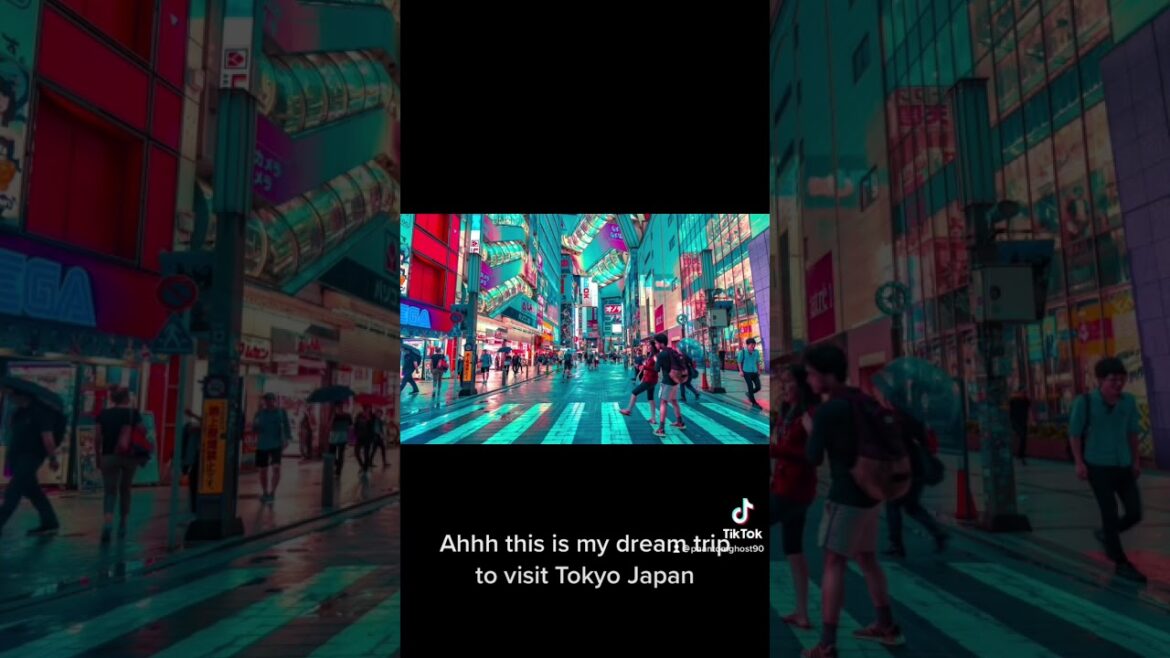 My spectacular dream trip.