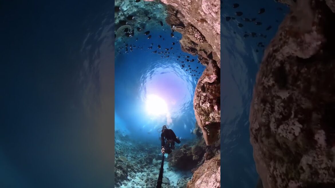 📍 Okinawa, Japan | 🧭BOOK with DISCOUNT🏷  your next ADVENTURE HERE! ✨LINK IN DESCRIPTION✨