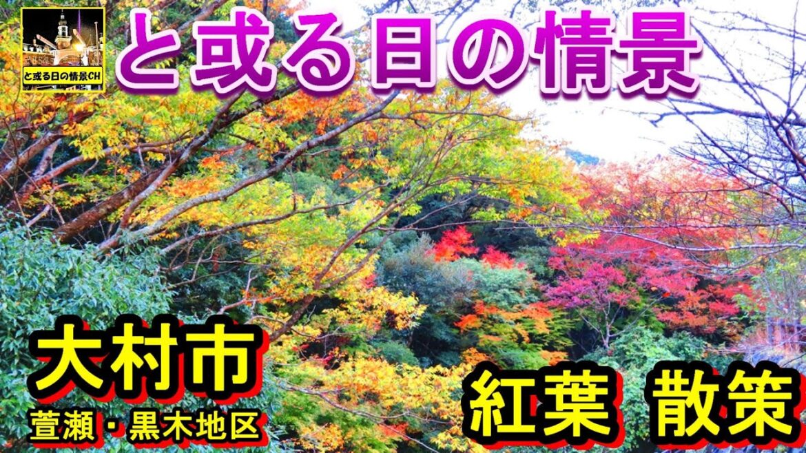 と或る日の情景 【紅葉絶景】萱瀬・黒木地区 『紅葉散策』 【長崎県】大村市