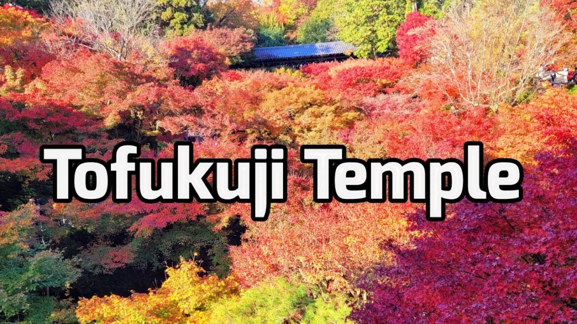 Peak Autumn at Tofukuji Temple in Kyoto Japan