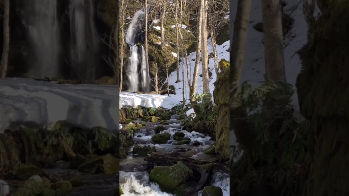 Cool Scenery in my winter vacation #shorts #nature #japan