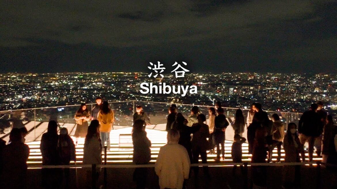 秋の夜長の渋谷散策|東京散歩 秋の夜長の渋谷散策|東京散歩