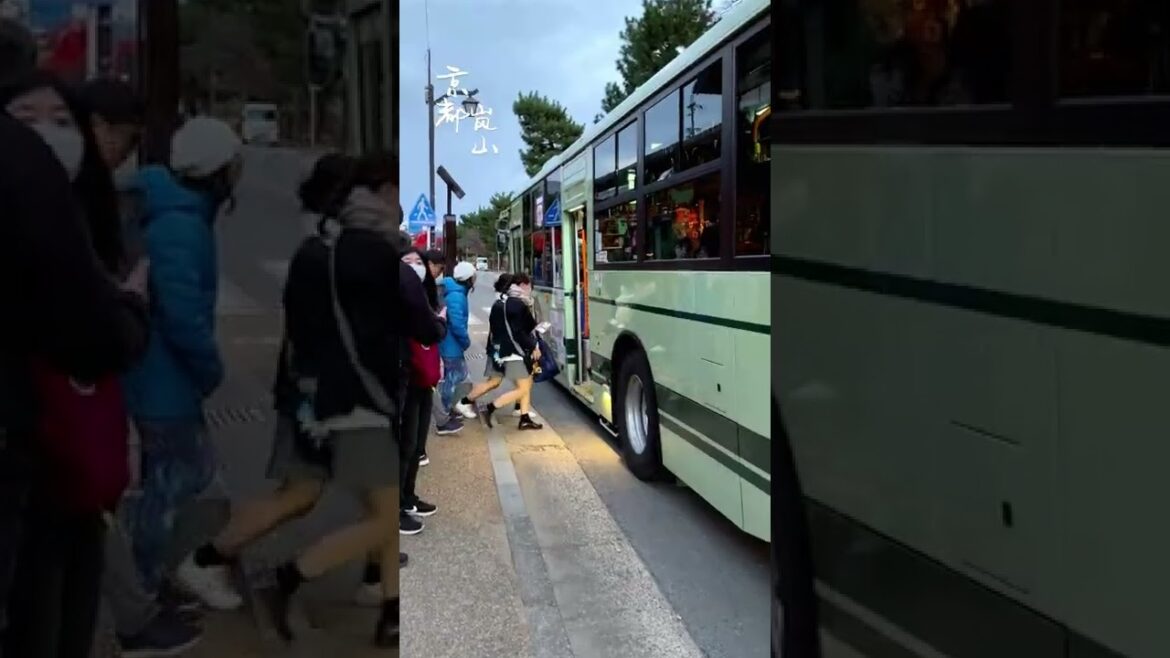 京都嵐山的傍晚，仿佛穿行在漫畫中。