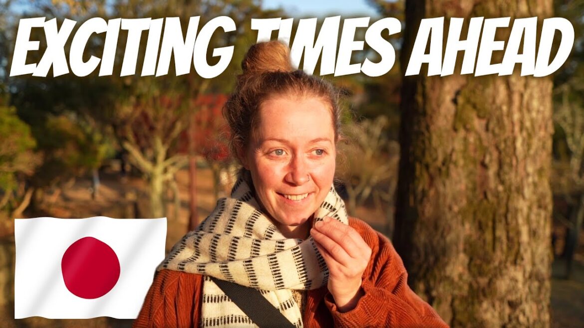 ARE WE GOING BACK TO VANLIFE?! (Osaka Japan 2022) ARE WE GOING BACK TO VANLIFE?! (Osaka Japan 2022)