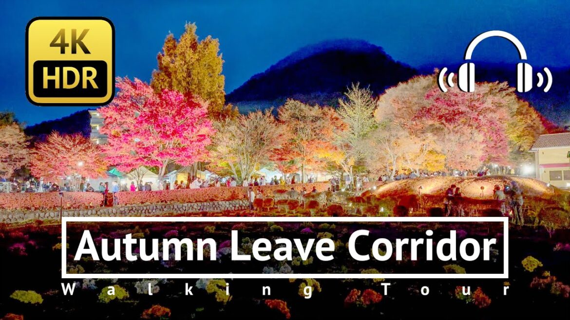 Lake Kawaguchi Autumn Leave Corridor Walking Tour - Yamanashi Japan [4K/HDR/Binaural]
