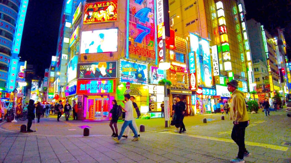 【4K】Tokyo Walk, Night Crazy City Streets of Shinjuku & Kabukicho / 夜の新宿・歌舞伎町を歩き倒す【Japan】