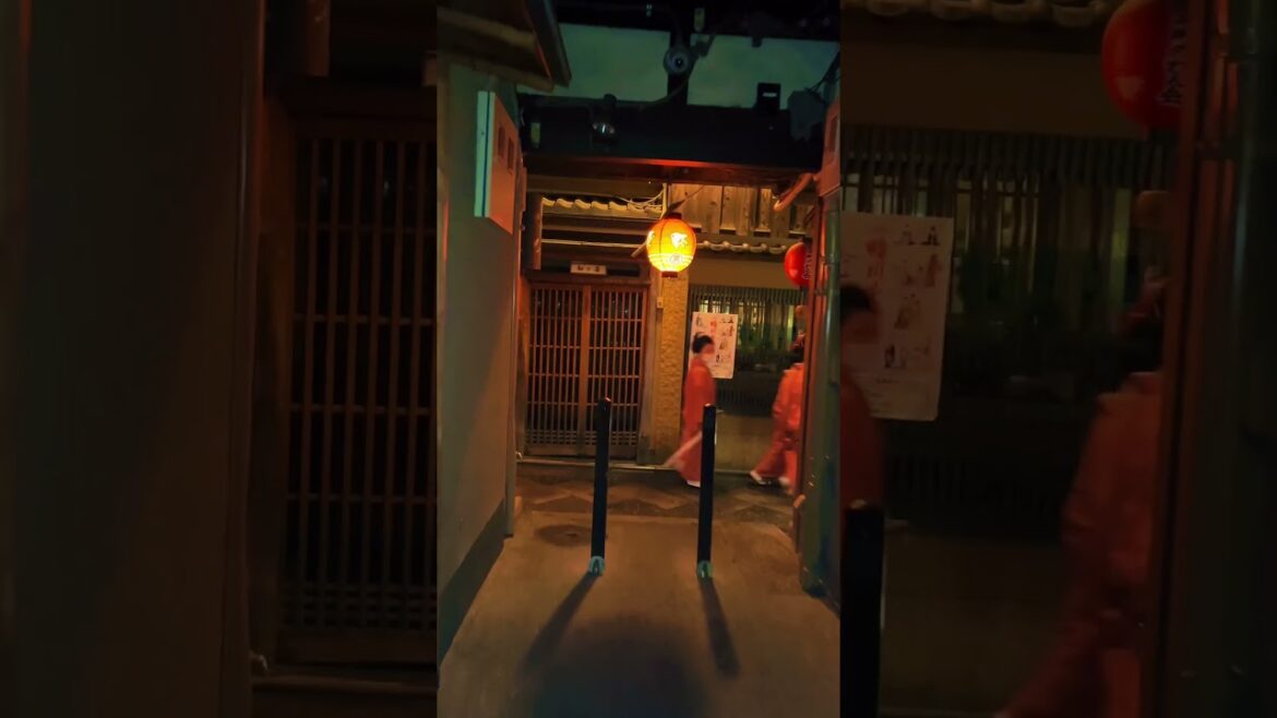 Pontocho / ε
ζηΊ(Kyoto)#japan #japantravel #japantrip #kyototravel #kyoto Pontocho / ε
ζηΊ(Kyoto)#japan #japantravel #japantrip #kyototravel #kyoto