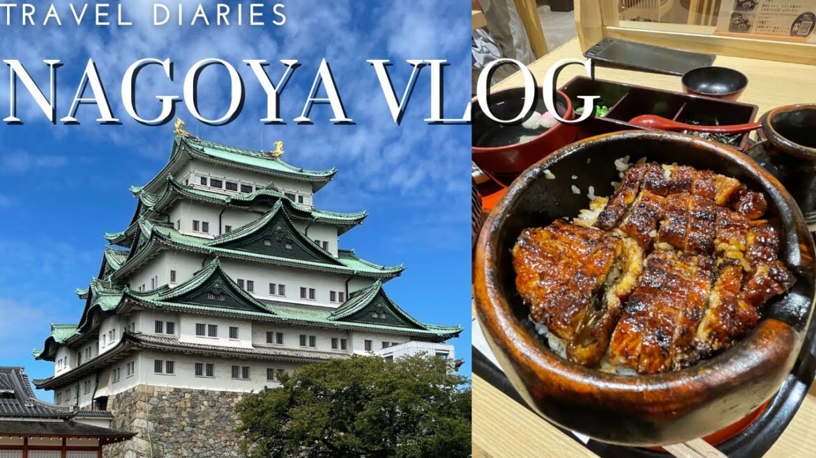 Nagoya Travel Vlog | Eating Nagoya's famous eel dish!