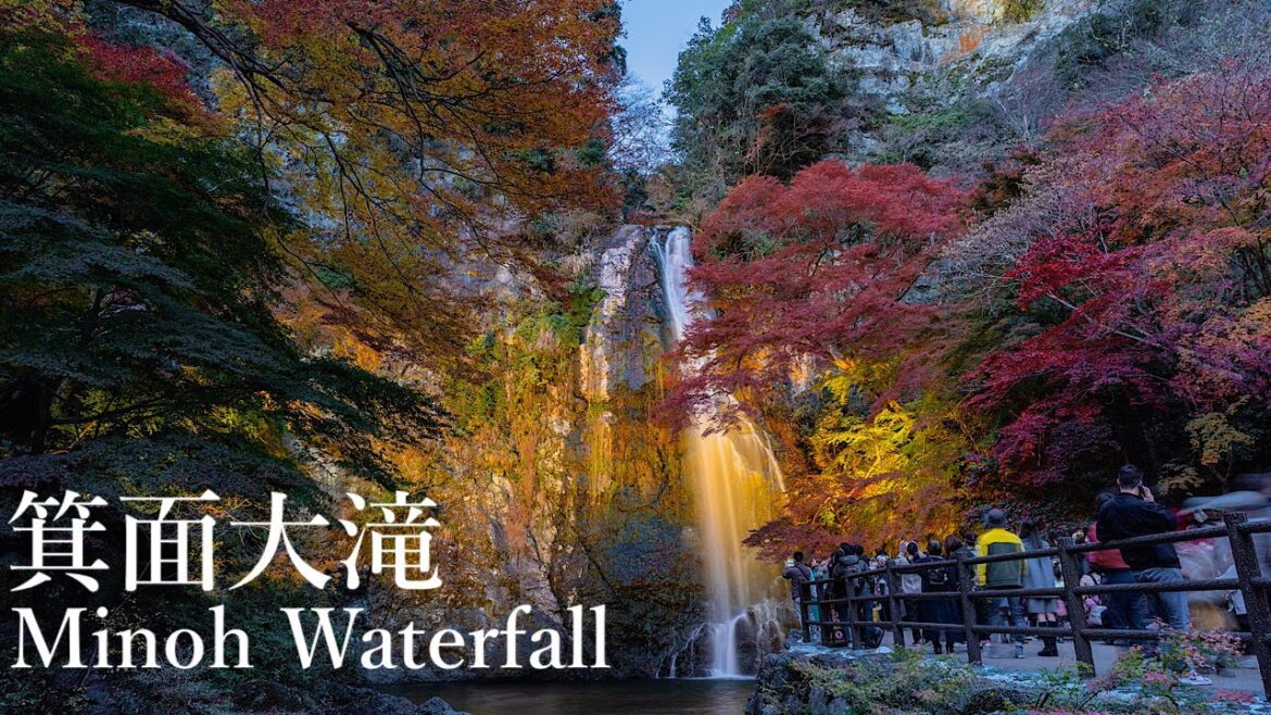 箕面大滝の紅葉 Osaka Walk - Autumn Leaves of Minoh Waterfall 4K HDR Japan
