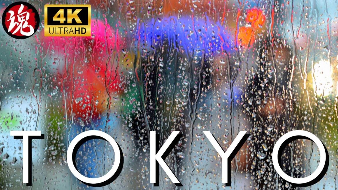 Rainy Tokyo Walk | Trendy Japan | Jiyugaoka