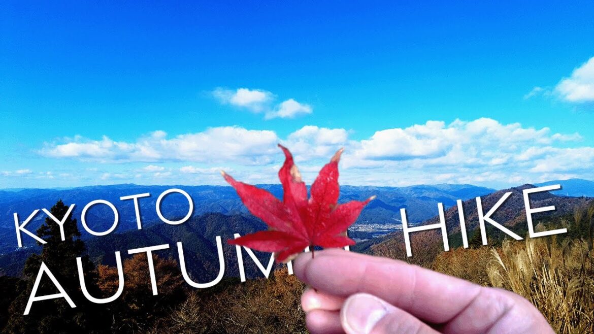 Hike to Enryakuji temple on Mt. Hiei. Kyoto, Japan.🍁⛩🇯🇵☺️
