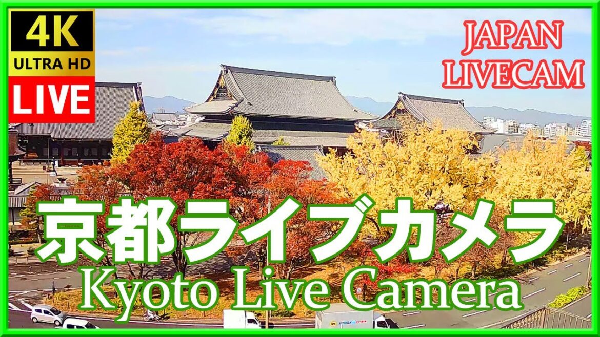 京都ライブカメラ 紅葉 東本願寺 (KYOTO JAPAN LIVE CAMERA) 森信三郎商舗から生中継 即時影像 紅葉 livecam 銀杏 2022/12/03 12:00～