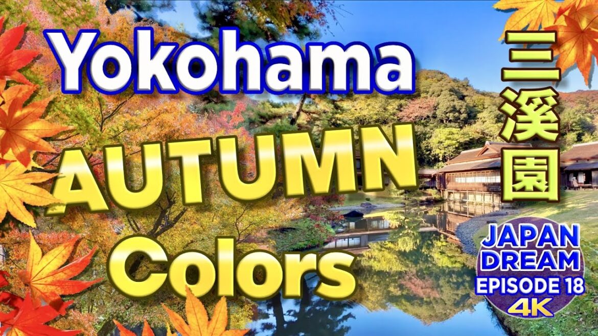 BEST place to see AUTUMN Colors in YOKOHAMA! Sankeien Garden! BEST place to see AUTUMN Colors in YOKOHAMA! Sankeien Garden!