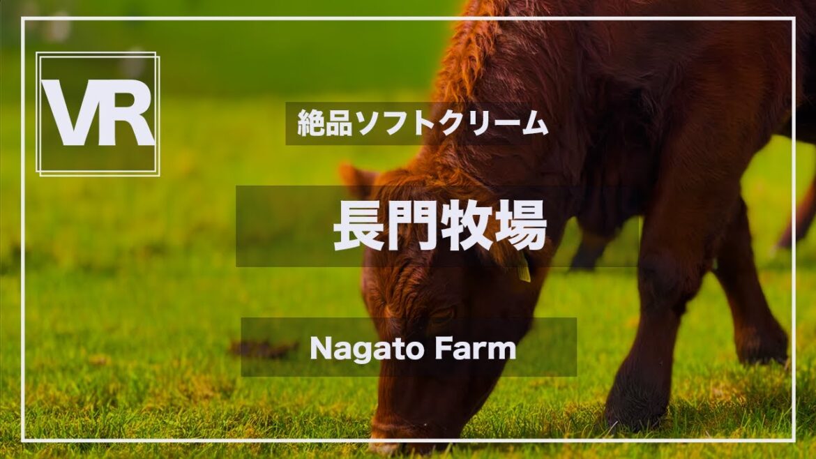 《 5.7K VR 高画質 [ 360°Japan Travel ]長門牧場　長野県長和町　Nagano　VRゴーグル推奨