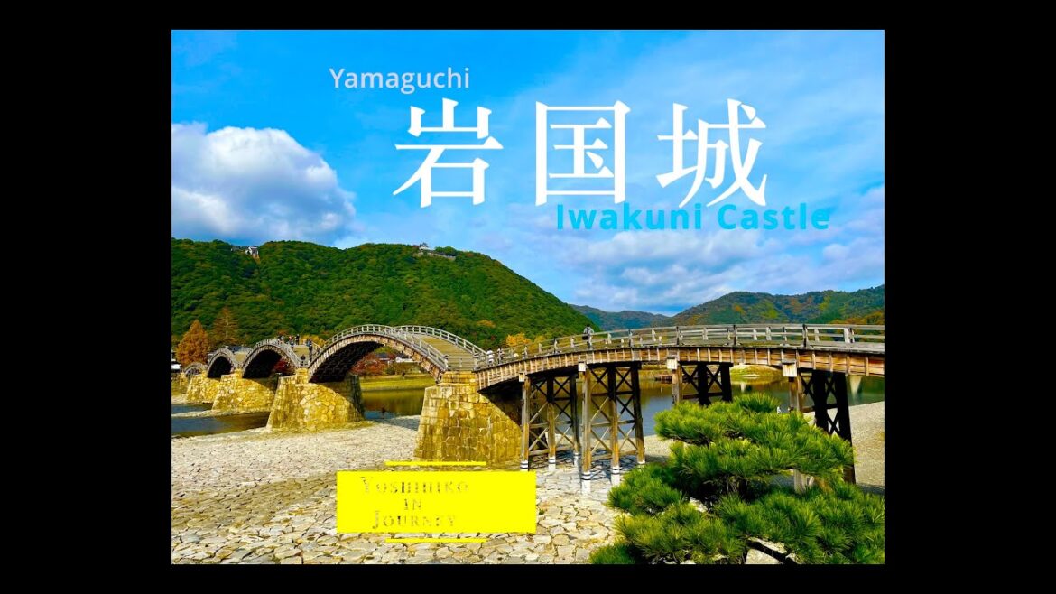 Castle in The Sky, Iwakuni Castle in Yamaguchi. Nov. 2022. Castle in The Sky, Iwakuni Castle in Yamaguchi. Nov. 2022.