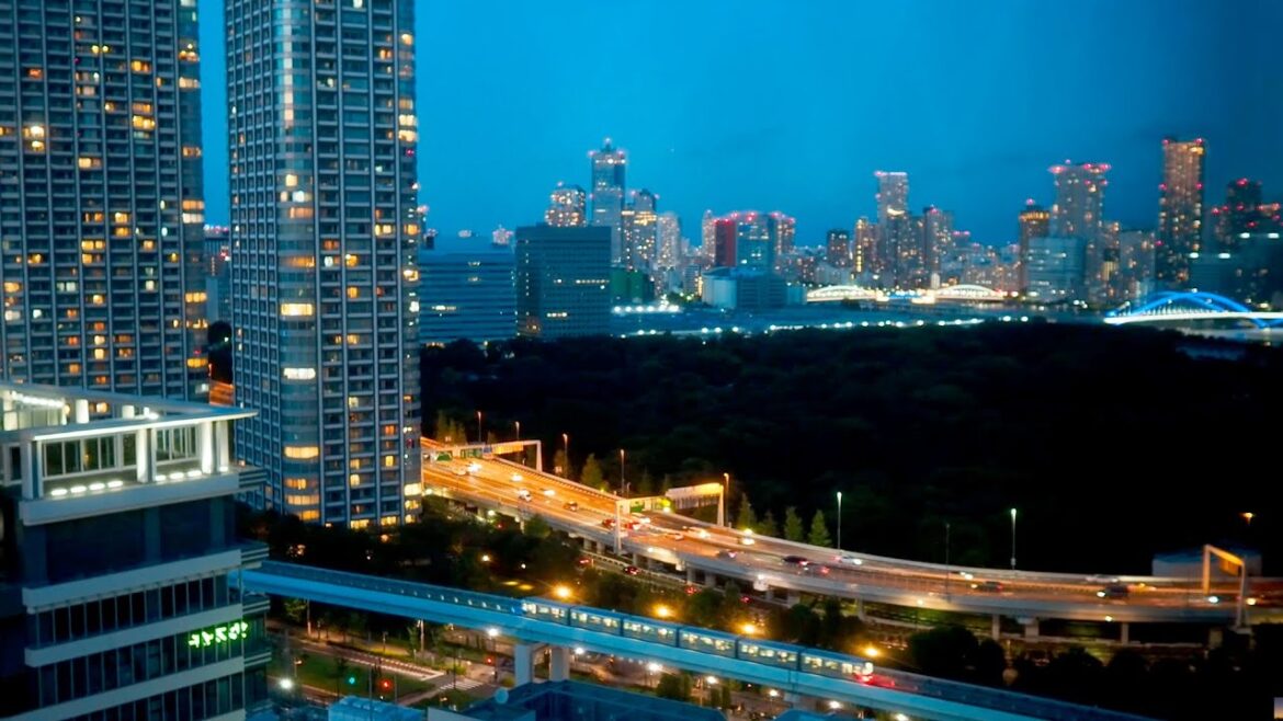 4K LIVE ゆりかもめと首都高速環状線と浜離宮公園/ 2022.11.27-28 Yurikamome Expressway and Metropolitan Expressway 4K LIVE ゆりかもめと首都高速環状線と浜離宮公園/ 2022.11.27-28 Yurikamome Expressway and Metropolitan Expressway