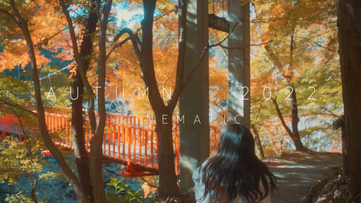 AUTUMN 2022 Cinematic Vlog / 秋の紅葉 2022 シネマティック Vlog #紅葉 #japan #α7siii AUTUMN 2022 Cinematic Vlog / 秋の紅葉 2022 シネマティック Vlog #紅葉 #japan #α7siii