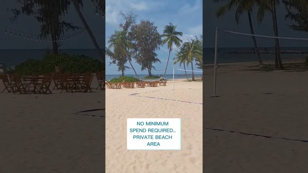 THE BEST BEACH CLUB IN PHU QUOC, VIETNAM 🇻🇳🏝