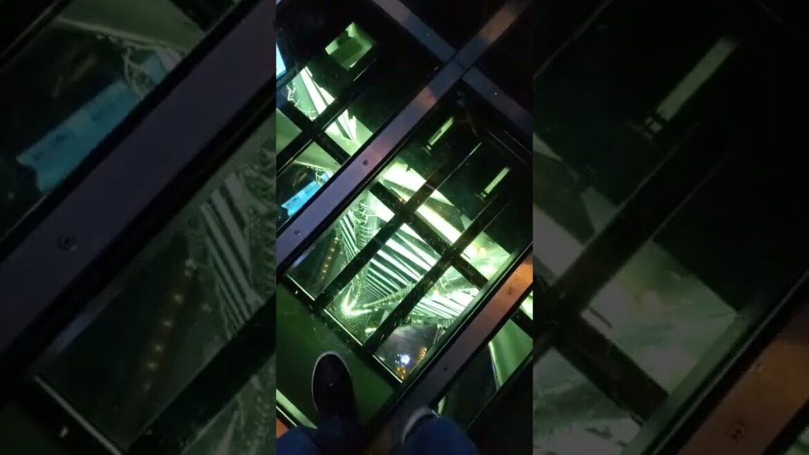 ☆☆☆NIGHT VIEW from TOKYO SKYTREE☆☆☆