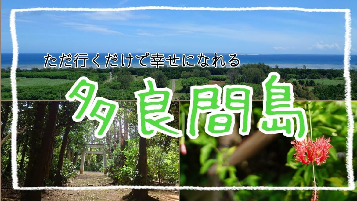 多良間島【ただ行くだけで幸せになれる島】TARAMA ISLAND OKINAWA JAPAN