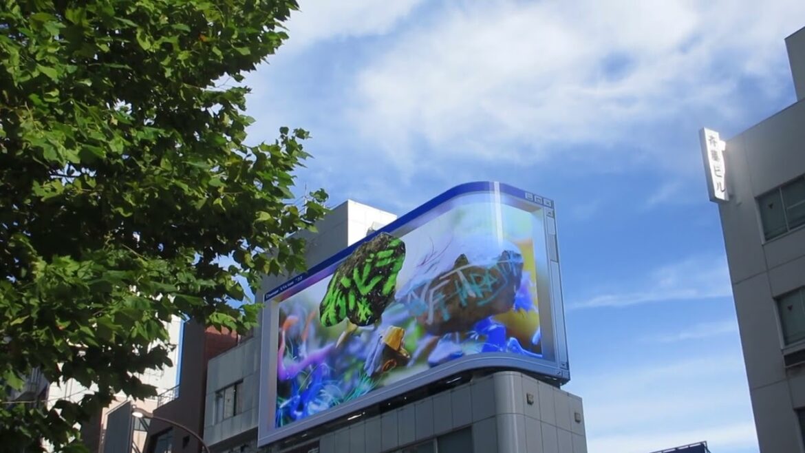 Japan video integrale 001