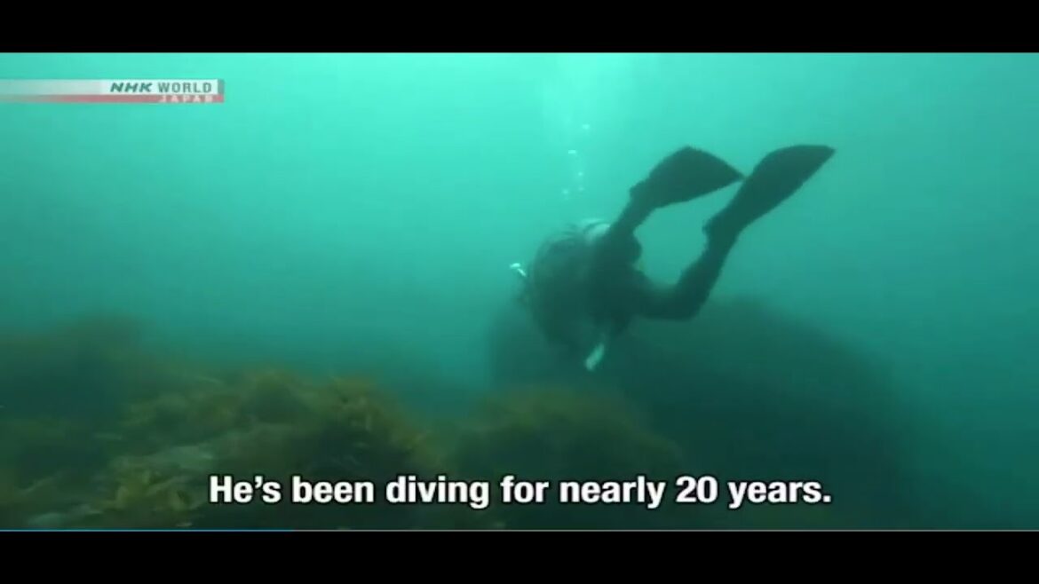 A Japanese diving guide's tips for seeing fish on tour dives A Japanese diving guide's tips for seeing fish on tour dives