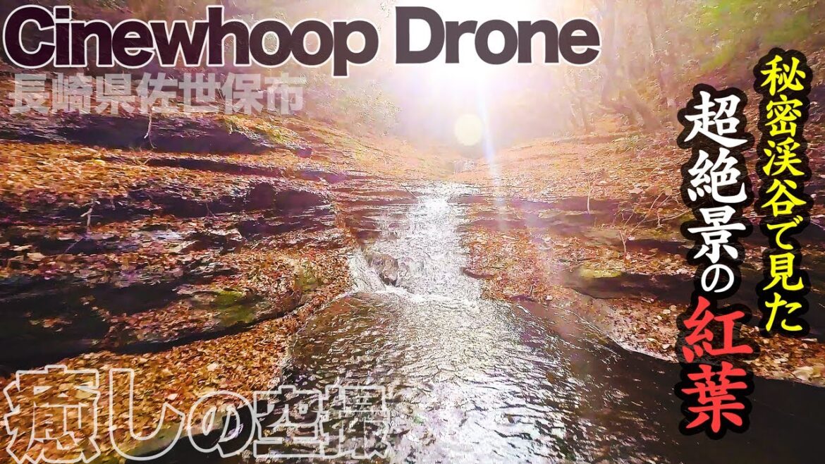 ドローンで見る絶景!長崎県佐世保市”ほとんど知らないていない奇跡の渓谷”紅葉 Cinewhoop ドローンで見る絶景!長崎県佐世保市"ほとんど知らないていない奇跡の渓谷"紅葉 Cinewhoop