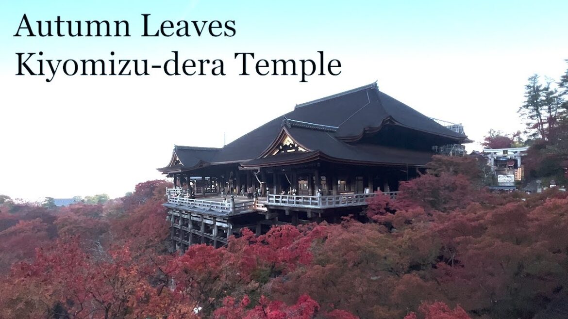 Autumn Leaves at Kiyomizu-dera Temple（清水寺の紅葉：京都市）／Kyoto, Japan